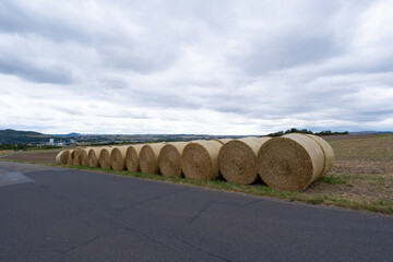 Large round hay bales lined up on the field near asphalt road under cloudy sky. © Tanya