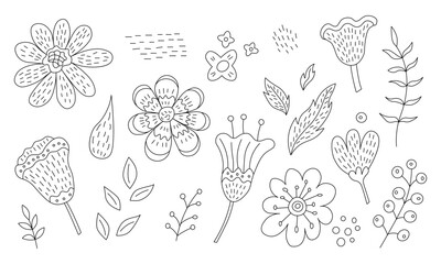Flowers, leaves and berries doodle illustration. Hand drawn cute modern line art about plants. Black drawing for coloring