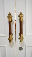 Classic golden door handles with elegant wood accents front view angle