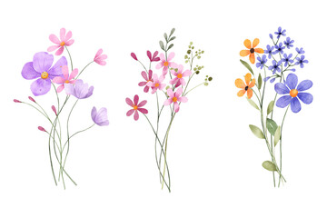 Set watercolor flowers hand painting, floral vintage bouquets with wildflowers. Decoration for poster, greeting card, birthday, wedding design. Isolated on white background.