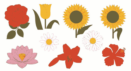 Illustration of various flowers including a rose, tulip, sunflower, daisy, lotus, lily, and hibiscus on a white background.