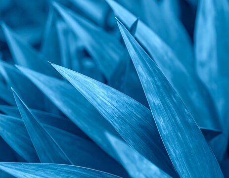 Close-up vibrant blue leaves - Powered by Adobe