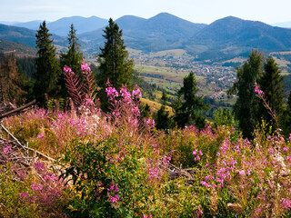 A stunning view of a mountain village nestled among rolling hills and wildflowers, perfect for...