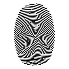 Close-up detail of a unique fingerprint pattern showing intricate ridge lines and swirls vector