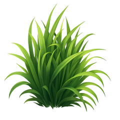 Obraz premium Lush green aquarium plant isolated on transparent background
