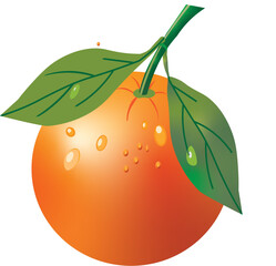 orange fruit with leaves