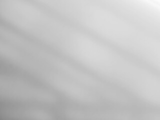 Background shadow white light wall floor backdrop overlay leaf mockup summer sunight overlay nature on room cement abstract blur muckup effect grey minimal platform for presentation product