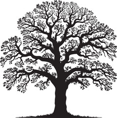 Silhouetted Majestic Oak Tree Against a Pure White Background