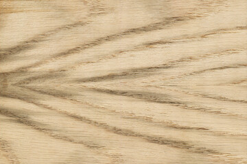 Oak wood texture, can be used as background, wood oak grain texture