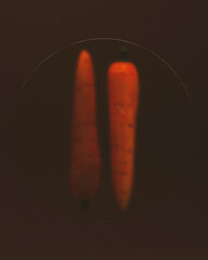 Carrot Frosted Glass Dark Background Orange 3d illustration