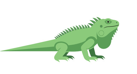 Obraz premium Stylized green iguana vector illustration with spiky dorsal crest, perfect for educational materials and pet shop advertisements and exotic fauna