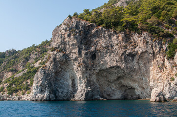 Fototapety na wymiar - Fototapeta24.pl