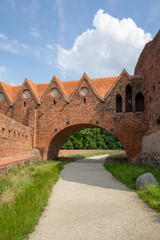 Dansker in ruins of gothic Teutonic Order 13th century Torun Castle, Torun, Poland