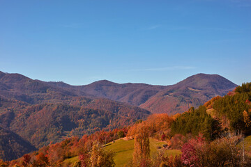 Autumn colored trees and countryside landscape scenery.
