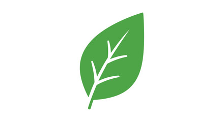 Leaf icon illustration representing botanical element and ecological concept on white backdrop offering simplicity and purity for environmental