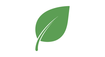 Stylized green leaf vector illustration on a pristine white backdrop symbolizing nature and botanical simplicity