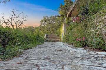 Fototapeta premium Stone path and steps in the overgrown resort grounds Haludovo Palace Krk