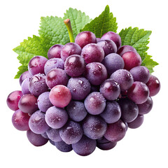 Fototapeta premium A bunch of fresh purple grapes with green leaves, isolated on transparent background