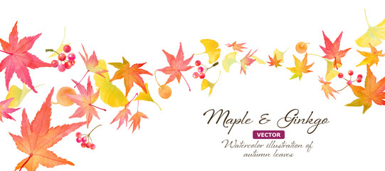 赤いモミジに混ざったイチョウや実のウェーブ型背景。秋のイメージの水彩イラスト。バナー背景。（ベクター。レイアウト変更可能）