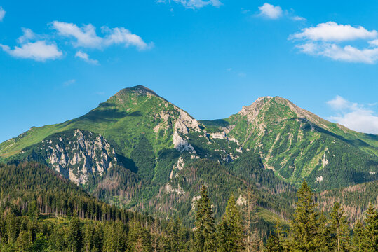 Zdiarska vidla and Magura hills in Belianske Tatry mountains in Slovakia - viiew from meadow near Zdiar village