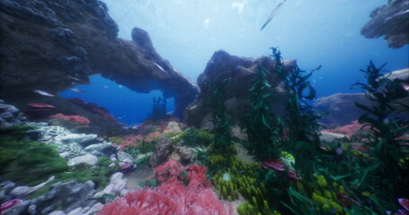 The diverse underwater environment showcases a rich coral reef filled with colorful plant life and various fish species swimming among rocks and corals, exemplifying marine biodiversity.