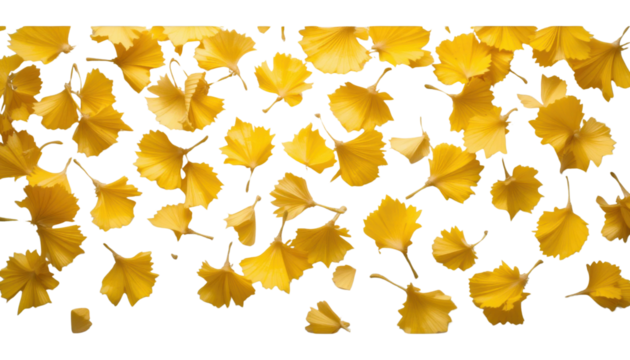 Vibrant autumn maple leaves with golden texture and falling orange decoration on a floral pattern