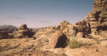 Fototapeta premium The view showcases a rugged desert landscape dotted with large rocks and sparse tufts of grass. The clear sky enhances the arid atmosphere typical of a desert environment.