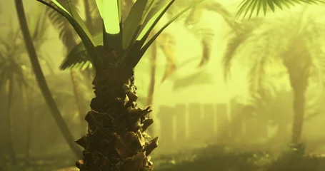 Fotobehang Goud Geel A lush tropical landscape showcases a palm tree in the foreground, surrounded by mist and soft light. The setting creates a serene atmosphere in a natural environment.  © icetray