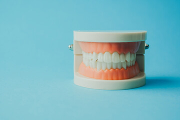 Model of human teeth and gums opens and closes on blue background.