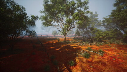 Experience the enchantment of an ethereal eucalyptus grove in this mesmerizing painting of a dirt field adorned with majestic trees. © icetray