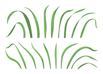 Green grass blade collection