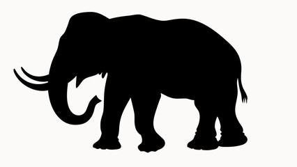 Obraz premium Silhouette of a woolly mammoth with long tusks and a raised trunk standing on a white background view