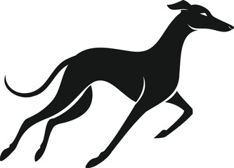 Fototapeta premium Silhouette of a running greyhound in motion.