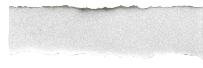 A ripped piece of white paper (1)