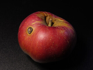 Close-up of a Red Apple with a Blemish