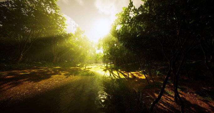 Sunlight filters through tree branches, illuminating a serene forest landscape. A gentle stream flows through the lush greenery, creating a peaceful atmosphere.