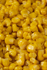 Bright Sweet Canned Corn Kernels Macro.