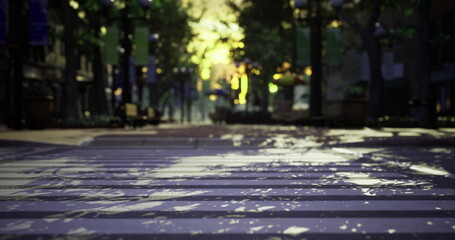 Sunlight pours through trees lining a quiet urban street. The cobblestone pathway shines, reflecting greenery overhead. Benches are visible along the way, inviting relaxation.