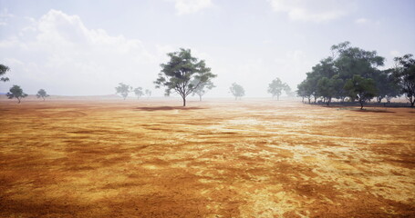 A vast arid landscape features sparse trees against a backdrop of a cloudy sky. Dusty ground is visible, showcasing the barren yet serene atmosphere of the region.