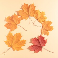 Fototapeta premium A vibrant circle of assorted autumn leaves in shades of red, orange, and yellow, arranged artfully on a rustic wooden surface, showcasing nature's beauty.