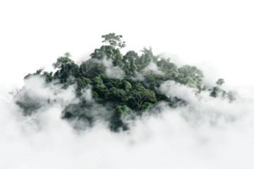 White fog or mist cloud effect isolated on white background