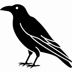 Crow Silhouette Vector Black Crow Graphic