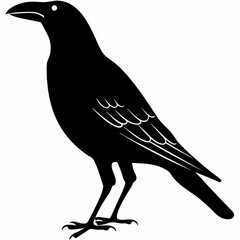 Crow Silhouette Vector Black Crow Graphic