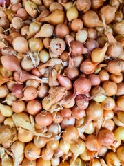 A full frame shot of small onions