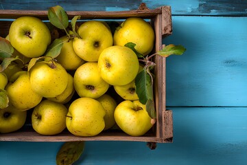 Fresh golden yellow apples in cardboard box at market or grocery store close-up