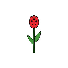 Illustration of a single red tulip flower