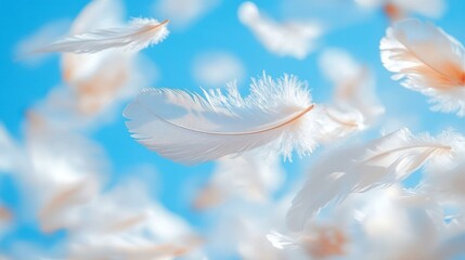 Naklejka premium Soft white feathers float in a vibrant blue sky