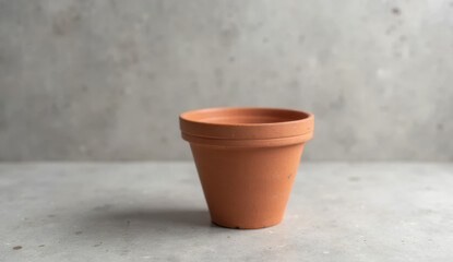 Simple terracotta pot against a textured gray background