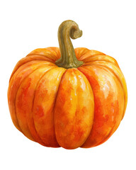 Watercolor halloween ripe pumpkin with stem isolated on transparent background