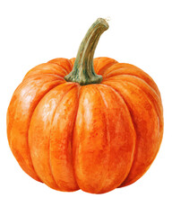 Watercolor halloween fresh pumpkin isolated on transparent background with green stem